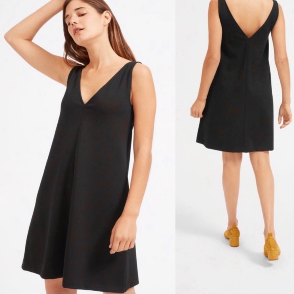 Everlane Mini Dress